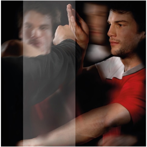 WingTsun Schule Dornbirn, Wolfgang Stademann, Selbstverteidigung, EWTO, Trainingszeiten